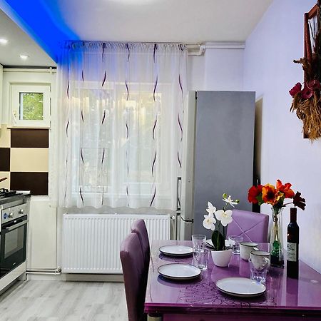 Joy City Stay Spacious Comfortable Temeşvar Dış mekan fotoğraf