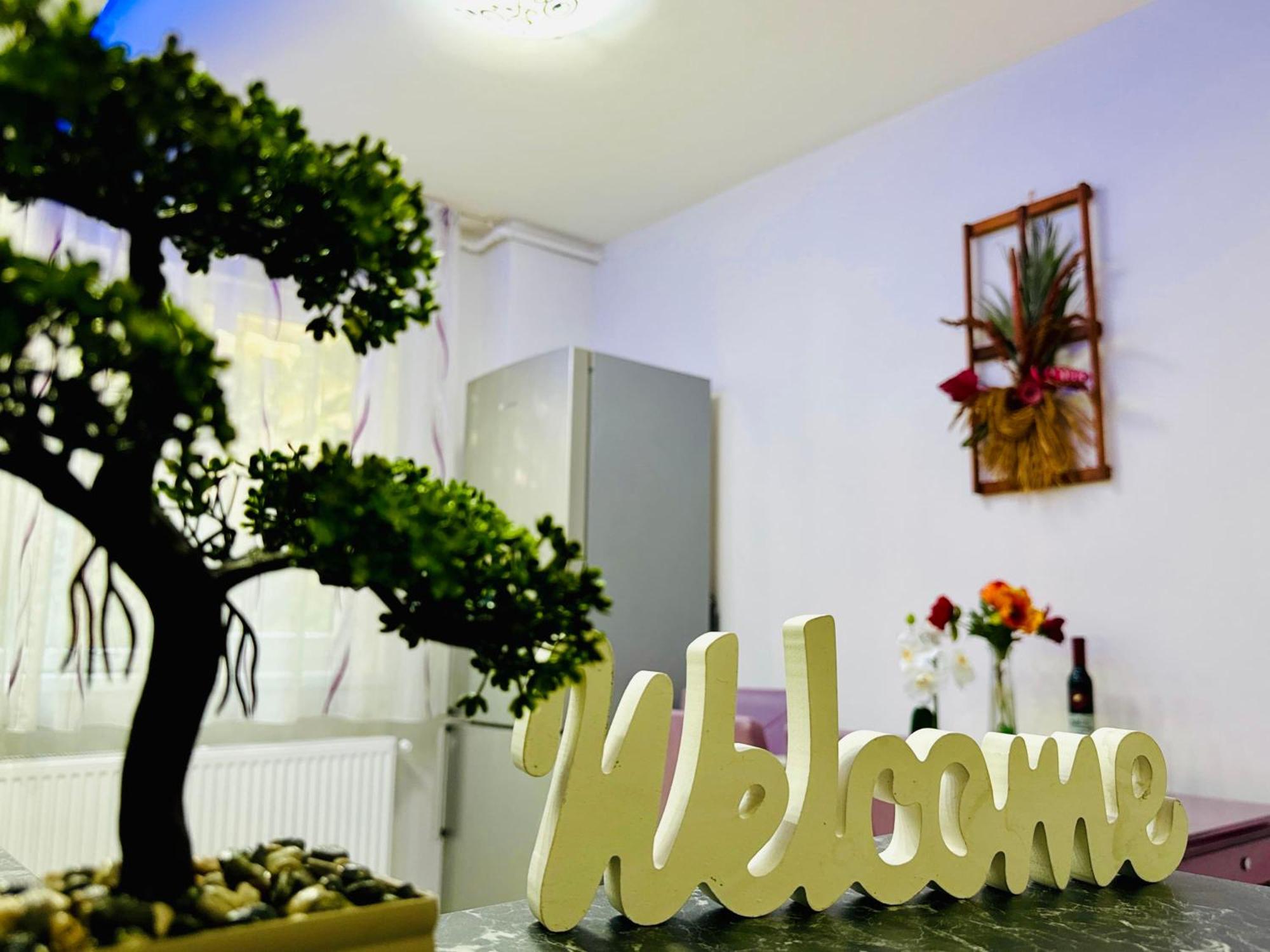 Joy City Stay Spacious Comfortable Temeşvar Dış mekan fotoğraf